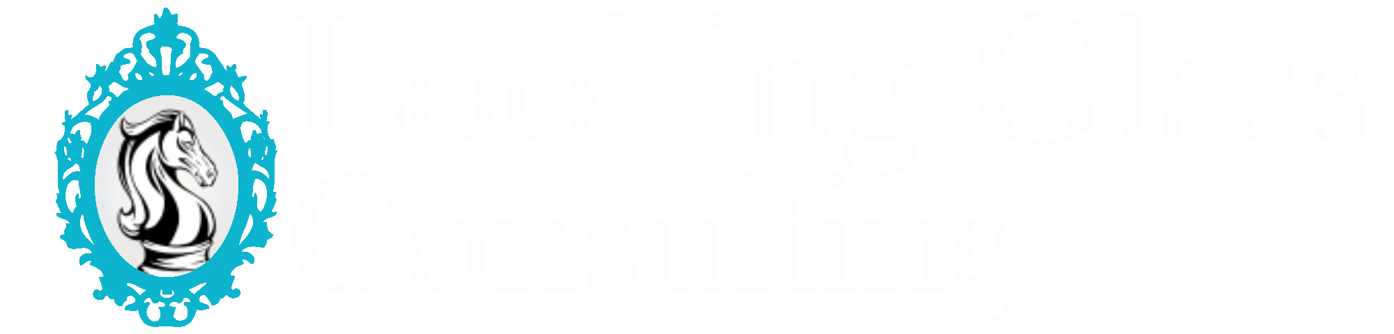 Looking Glass Consulting